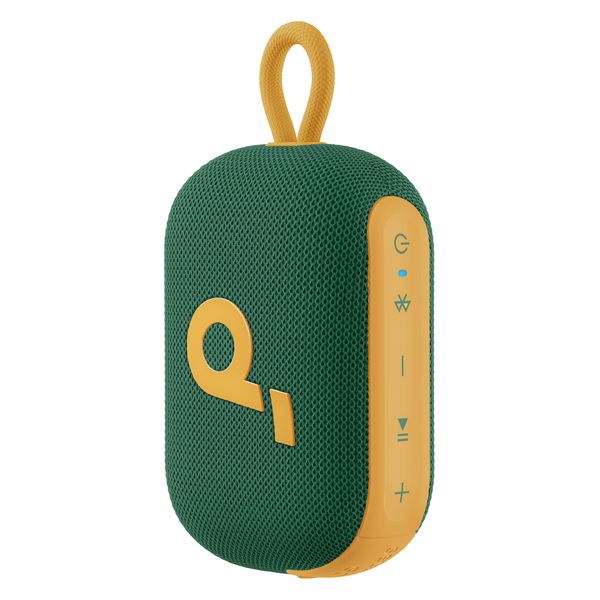 Soundcore Select 4 Go Springboks Speaker Green & Gold