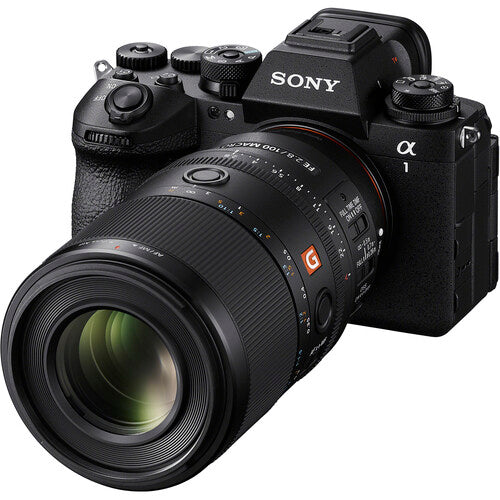 Sony FE 100mm f/2.8 Macro GM Lens