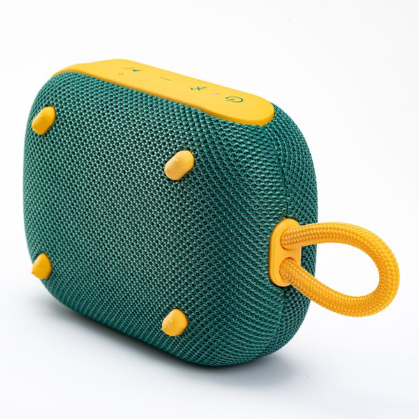 Soundcore Select 4 Go Springboks Speaker Green & Gold