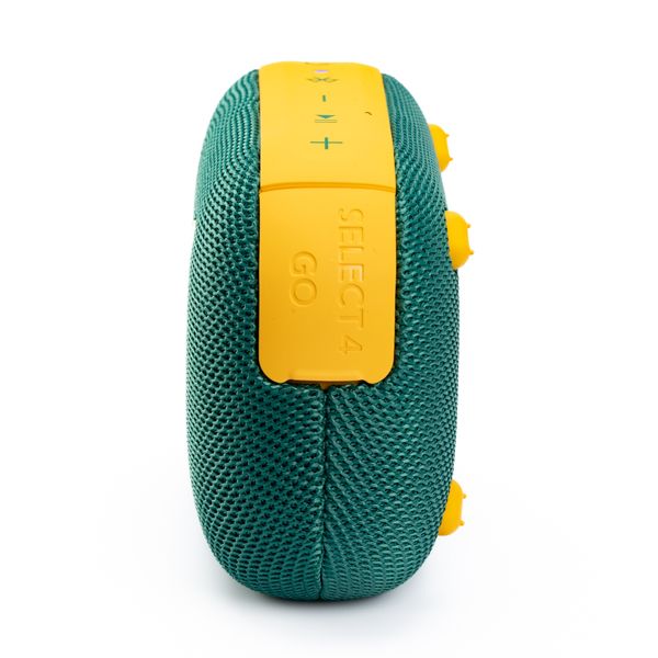 Soundcore Select 4 Go Springboks Speaker Green & Gold