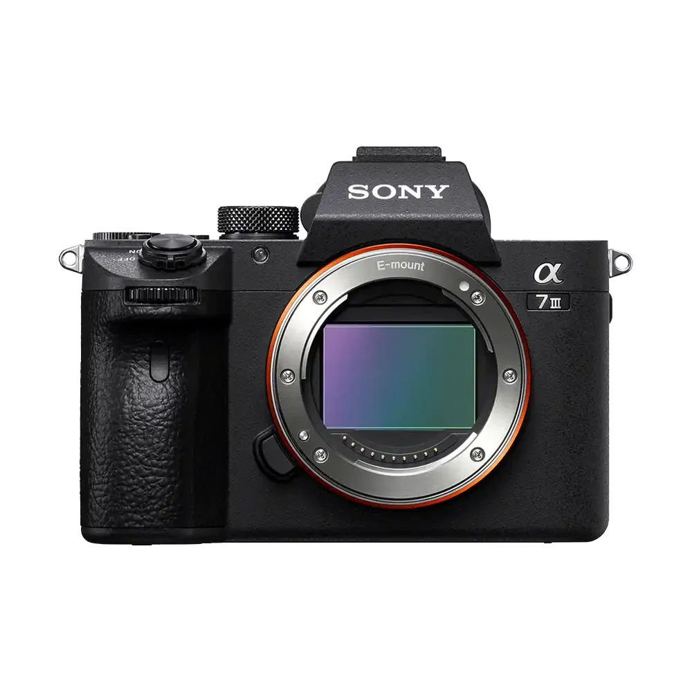 Sony Alpha a7 III Mirrorless Digital Camera