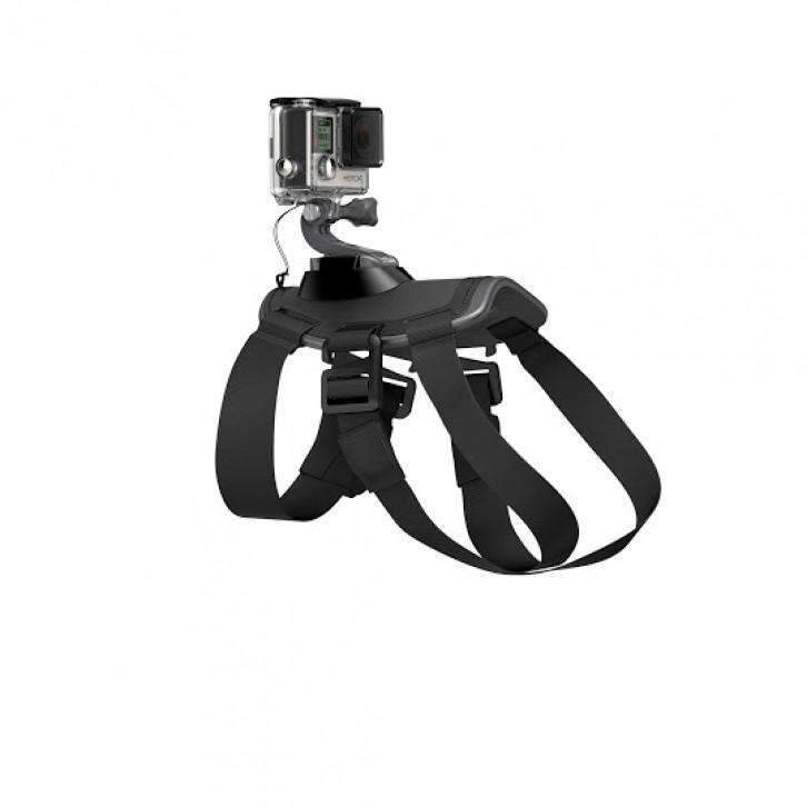 GoPro Fetch Dog Harness GoPro GoPro Accessories