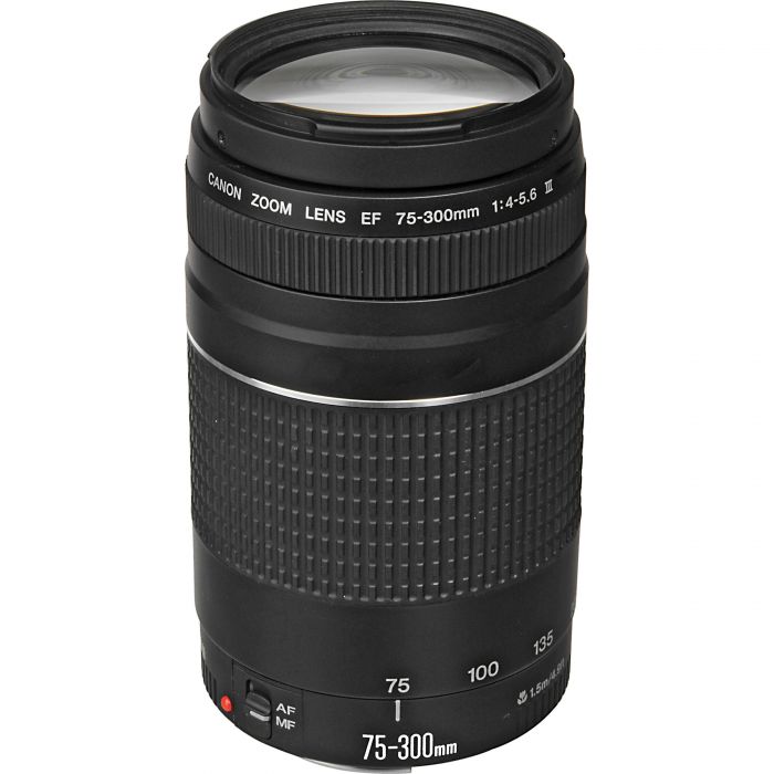 Used: Canon EF 75-300mm f/4-5.6 USM III Used Canon Other