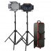 Godox LED 500C Lighting Kit Version 2 Godox Continuous Lighting