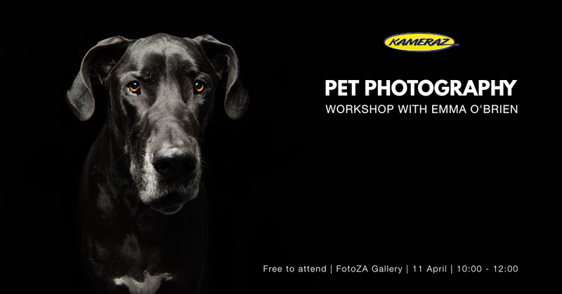 Pet Photography Workshop with Emma O'Brien