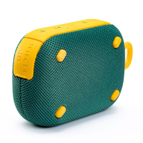 Soundcore Select 4 Go Springboks Speaker Green & Gold