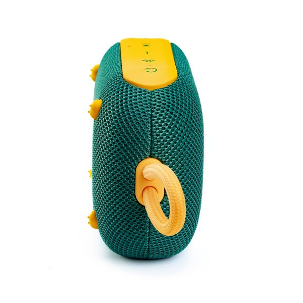 Soundcore Select 4 Go Springboks Speaker Green & Gold