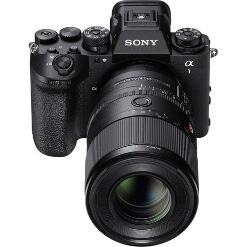 Sony FE 100mm f/2.8 Macro GM Lens