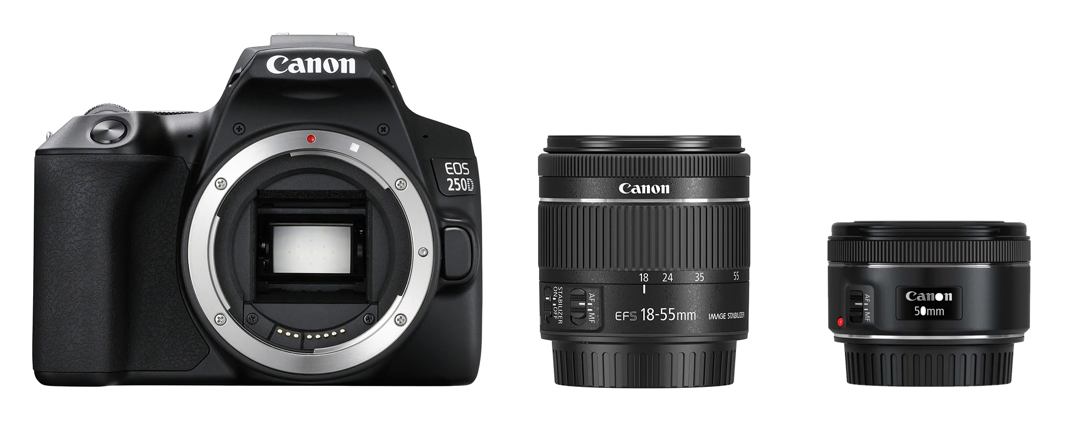 Canon EOS 250D Essential Portrait kit