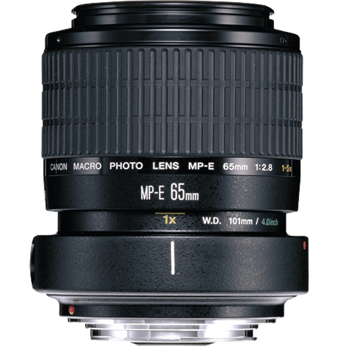 Canon MP-E 65mm f/2.8 (1-5x) Macro Lens Canon Lens - DSLR Macro