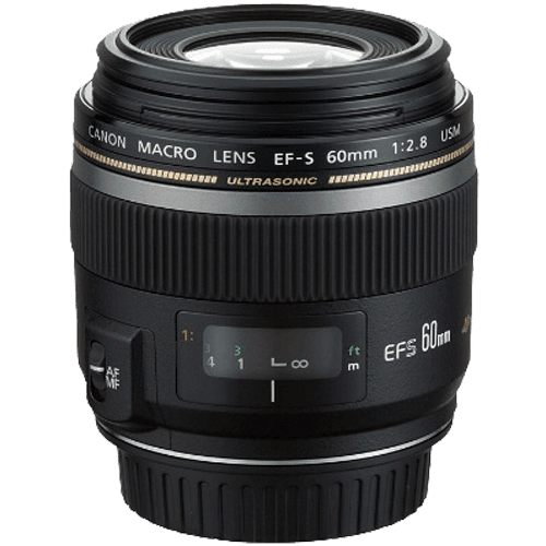 Canon EF-S 60mm f/2.8 USM Macro Lens Canon Lens - DSLR Macro