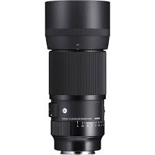 Sigma 105mm f/2.8 DG DN Macro Art Lens for Sony E Sigma Lens - DSLR Macro