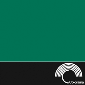 Colorama Backdrop - Spruce Green 37 Colorama Backdrop